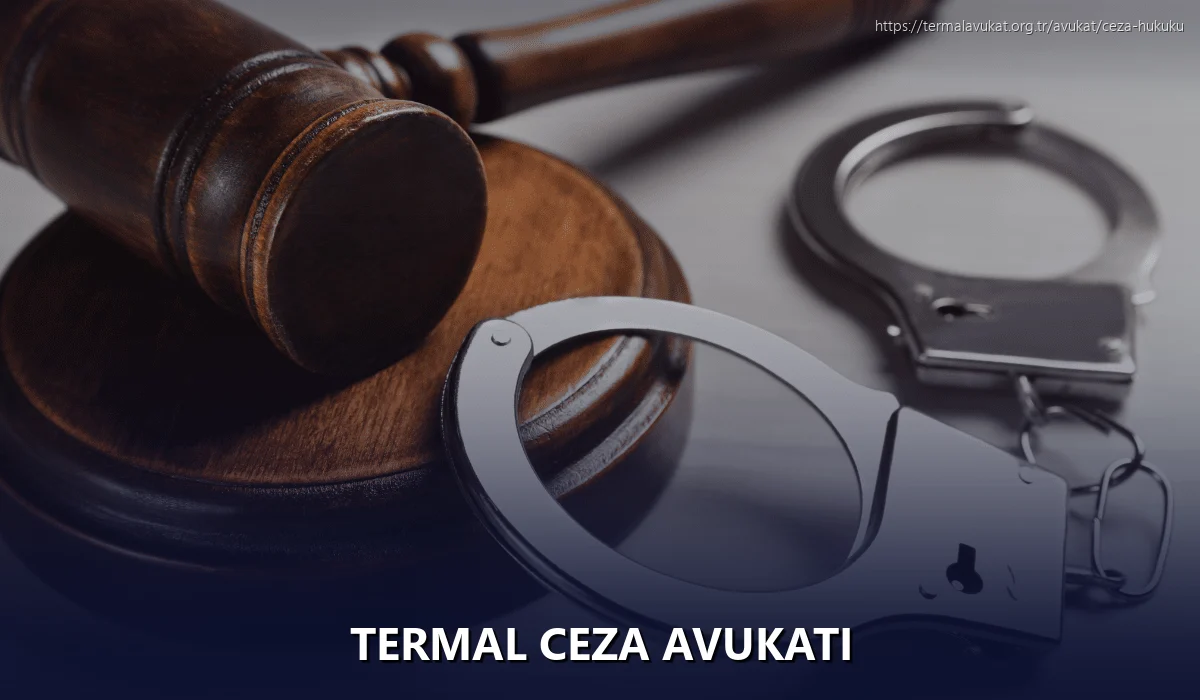 Termal Ceza Avukatı